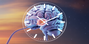 Demência: A Defesa Pode Estar na Regularidade do Seu Dia a Dia